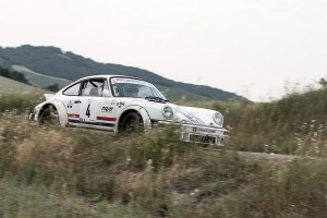 Rally 4 Regioni 2015 -1