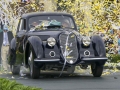 Alfa 7