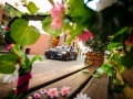 180518_Alfa_Romeo_Mille_Miglia_2018_26