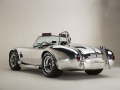 Cobra 50 anni -7