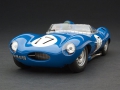 Jaguar D-Type by Exoto -1