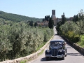 La Corsa di Alcide -1.jpg