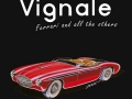 Libro Vignale