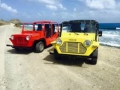 Mini Moke -6