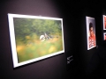 Mostra su A.Senna -2