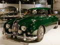 Mostra Jaguar a TO -9