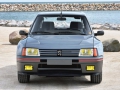 205 Turbo 16-2