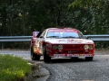 Rally Alpi Orientali 2015 -1