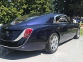 RR Sweptail -11
