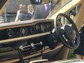 RR Sweptail -9
