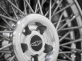 Speedback GT -14