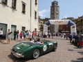 Stella Alpina vecchia ediz. -3