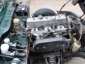 Gt6 -5