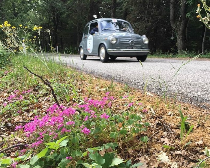A San Marino in vetta Pierluigi Fortin e Laura Pilè su Fiat 600 del 1957.