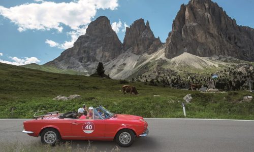 Tutto pronto per la 33^ Stella Alpina!