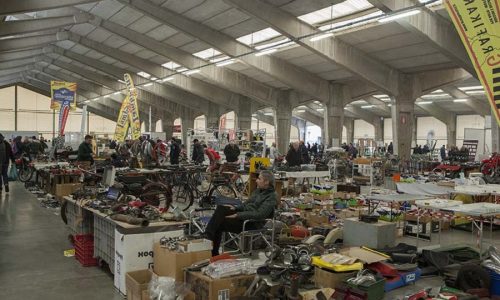 Al via la 36^ edizione della Mostra Scambio di Villa Potenza a Macerata.