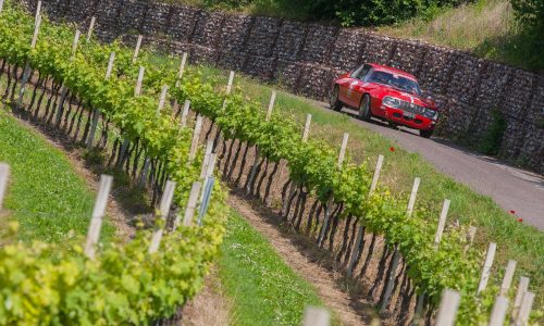 Record di iscritti alla Coppa Giulietta&Romeo 2020.