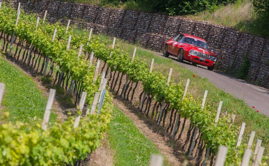 Record di iscritti alla Coppa Giulietta&Romeo 2020.