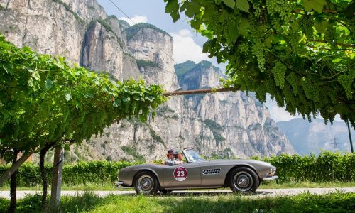 Bilancio super positivo per la Stella Alpina 2020.