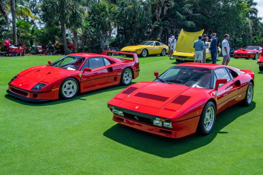 Cavallino Concorso di Modena 2021.