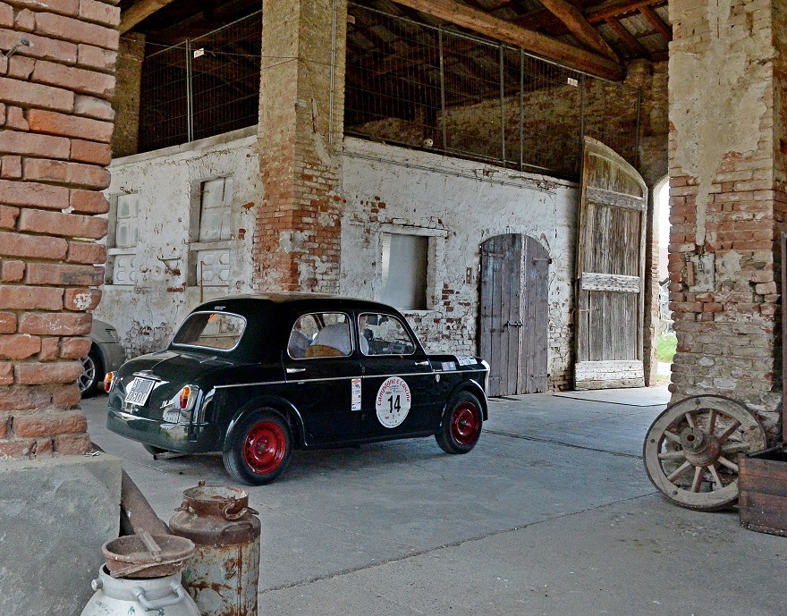 Numeri importanti per Campagne e Cascine 2023 XXI Coppa 3T .