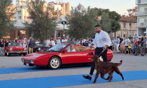 La nuova Marche Classiche è già un successo.
