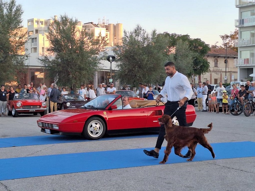 La nuova Marche Classiche è già un successo.
